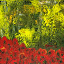 Covor de maci, acril si ulei pe panza, 35x45 cm